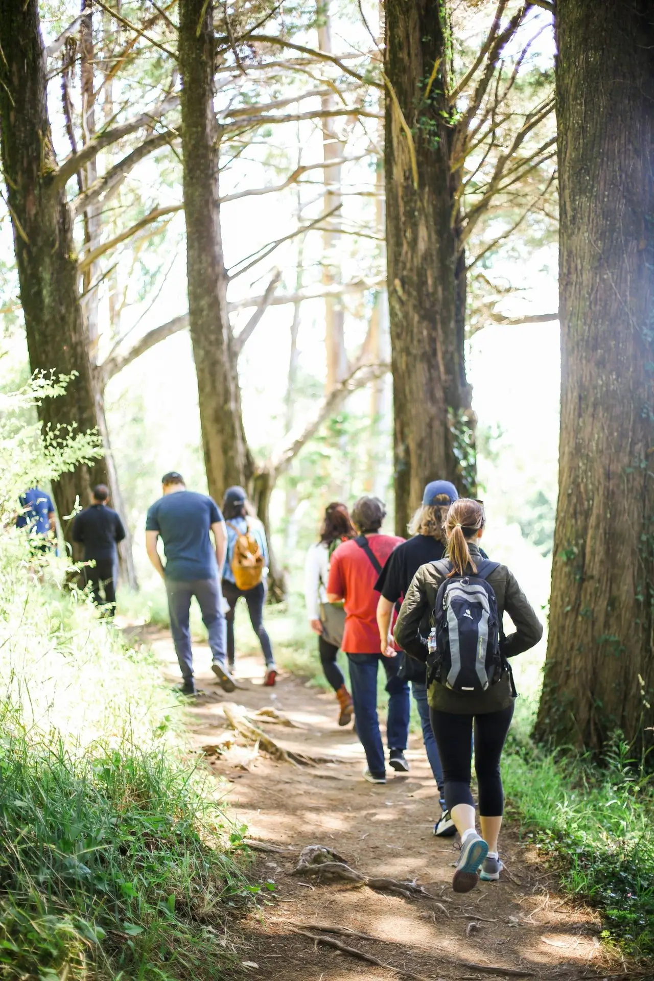 people walking on dirt road between trees during daytime